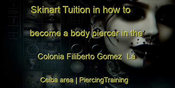 Skinart Tuition in how to become a body piercer in the Colonia Filiberto Gomez  La Ceiba area | PiercingTraining | PiercingClasses | SkinartTraining-Mexico
